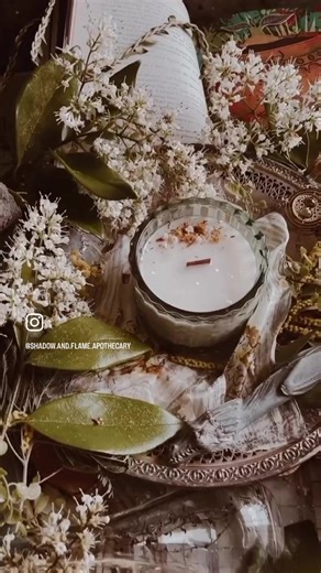 Shadow & Flame ✨ Julia on TikTok