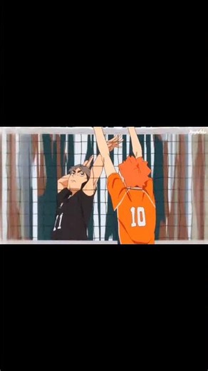The Next Little Giant | Hinata Shoyo