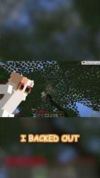 Joining Random Minecraft Servers