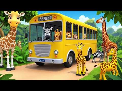 Girafe et zebre nettoient le bus de la ju