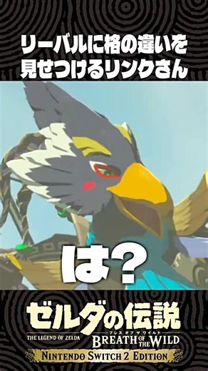 リーバルに格の違いを見せつけるリンクさん【ゼルダの伝説 ブレワイ】