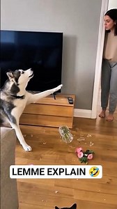 Hol' up, lemme explain! ✋ #shorts