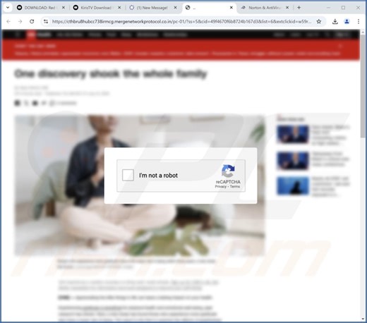 Mergenetworkprotocol.co.in Ads