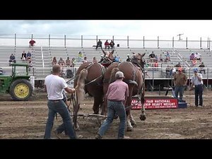 Armada Fair Draft Horse Pulls National Championship (08-18-2017)