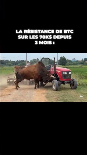 Indestructible celle-là #crypto #cryptopro #argent #bitcoin #money