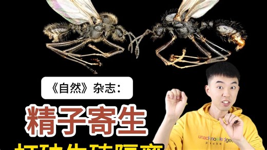 《自然》：性寄生，打破生殖隔离，让一个物种生下另一个物种！
