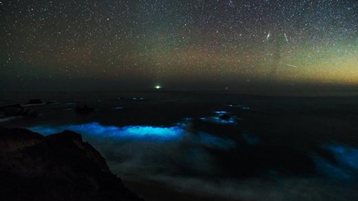Bioluminescent Plankton Light Up California's Big Sur