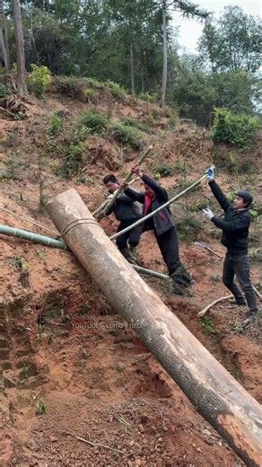 DIY Physics Lever Easy Post Placement