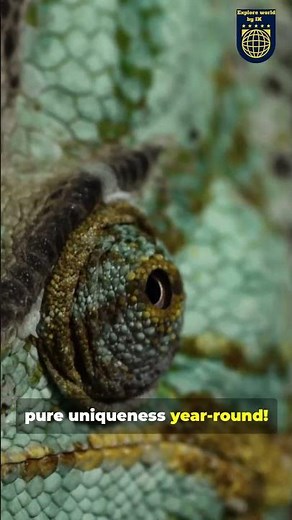 Discover Madagascar: Wildlife Hidden Gem | exploreworldbyIk