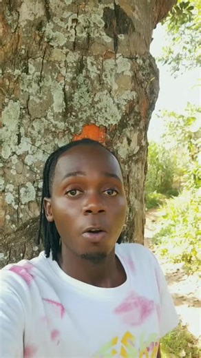 WISE MAZINA DYNASTY (@wise.mazina.ugand)’s videos with original sound - WISE MAZINA DYNASTY