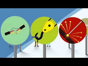 Discover a Career in the Sign & Graphics Industry