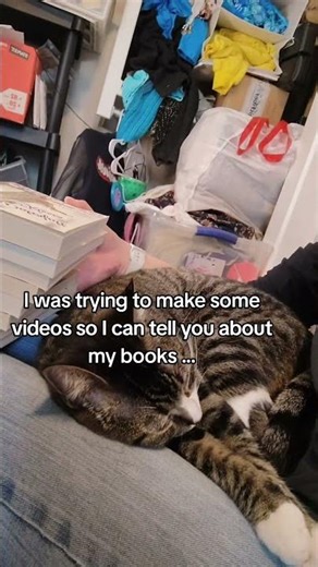 I have 30 modern Cinderella stories with open door scenes, witty banter, HEA romcom vibes.