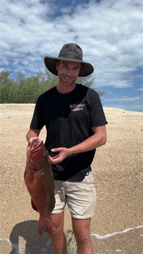 There's nothing like a good coral trout on the bbq. Check out the range of B2B graphic tees today! | Back 2 Basics Adventures