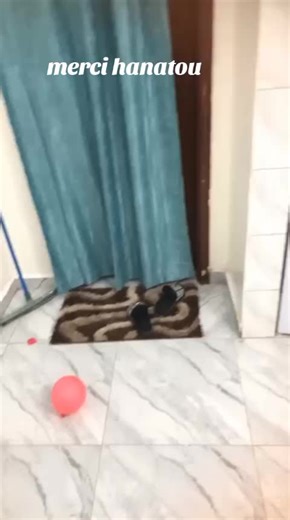 @AB MUSICQUE 🎤🇬🇳 @PC Øfficiel @oxoss mondial Ab musique ❤️ @Sekou Ab musique @achasylla557