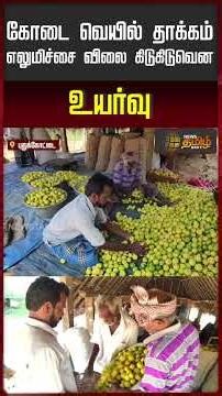 கோடை வெயில் தாக்கம்.. எலுமிச்சை விலை கிடுகிடுவென உயர்வு! #lemonrate #summertime