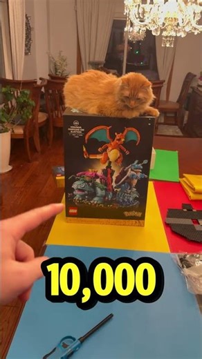 Burning The NEW Pokemon Lego Set?