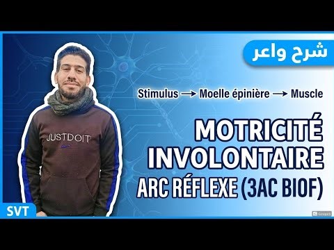 La motricité involontaire | Système nerveux | 3APIC | شرح مبسط وسهل