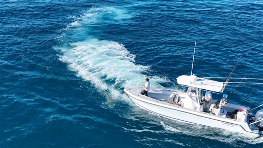 12-foot great white shark is patrolling shores of a major tourist destination