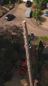 🎉 5 YEAR ANNIVERSARY OF THE BREATHEFLEX PRO 🎉 Our original Breatheflex Pro chainsaw trousers were released 5 years ago 🤯. The range started with the lime, blue and black and have gone on to become one of our most popular products. With a host of colours now available to choose from and lots of improvements made based on your feedback, the Breatheflex Pro range is one of the best in the market. A little throwback to our very first time filming the trousers in action. #arbortec #breatheflexpro 