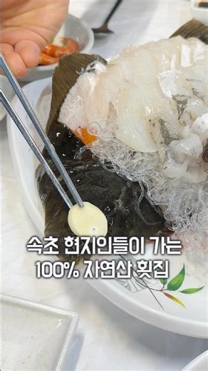 속초 현지인들이 가는 100% 자연산 횟집