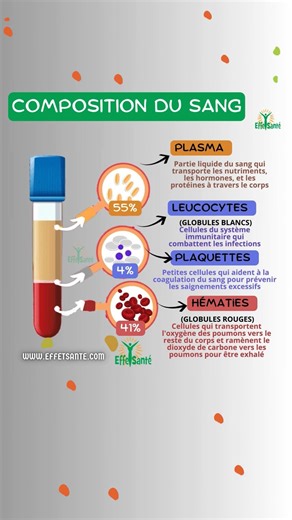 113K views · 475 reactions | La composition du sang: ❤Plasma 55% :...