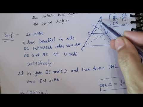 Class 10 ||chapter 6|| triangles||theorem 6.1||new syllabus||CBSE||HBSE||