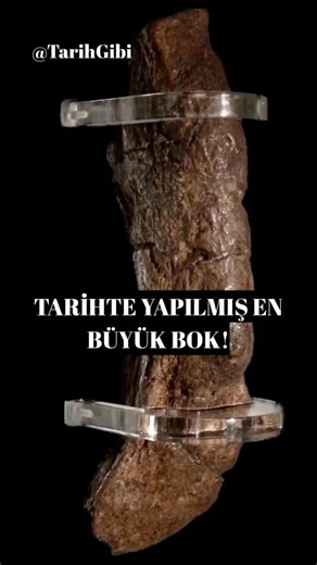 Bleda on Instagram: "Tarihte Bulunmuş En Büyük İnsan Kakası! . . . . . Kaynak: ZME Science-The world’s largest human poop is a 1200-year-old Viking treasure. By Mihai Andrei. . #tarih #arkeoloji #vikingler #shitpost #bilim"