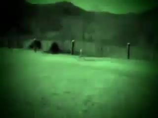 Raw Footage of Alien Grey Inside A Military Base Leaping Up Into The Air | Extraterrestrials And Contactees