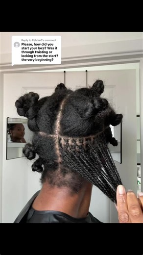 How I Started My Microlocs: DIY Two-Strand Twists to 380 Locs