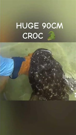 HUGE FLATHEAD RELEASE #flatheadfishing #flathead #catchandrelease #hobiekayakfishing