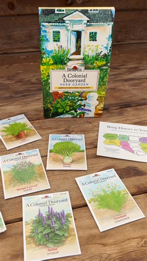 Here's how you can plant a taste of history for America's 250th birthday. 🇺🇸 In collaboration with The American Horticultural Society, bring history to life by planting your own Colonial Dooryard Herb Garden. This specialty seed kit features essential herbs that early settlers relied on for cooking, healing, natural dyes and more. 🌿 | Burpee Gardening