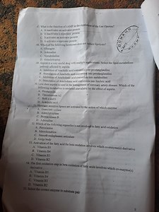 47. What is the function of cAMP in the regulation of the Lac O... | Filo