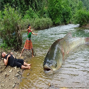 847K views · 5K reactions | Primitive Girl Fishing Catch Big Fish By Bow And Arrow - Cooking Delicious Fish | Embrace your Heart | Facebook