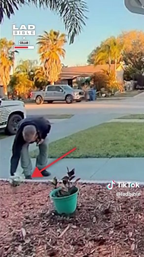 Being a Good Neighbor: Kindness Matters