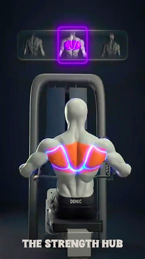 3d gym workout animation video || gym ❤|| @gym