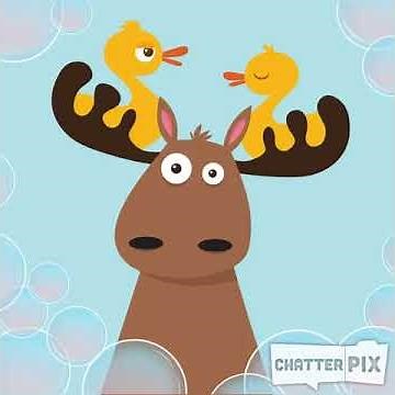 Duck duck moose logo