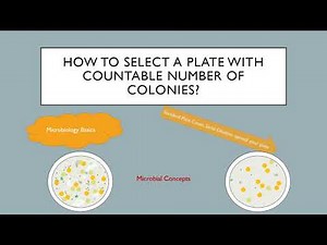 How to select plate with countable number of colonies? | Microbiology basics