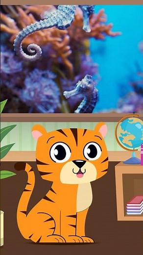 Fun Facts About Sea Horses #funfacts #factsforkids #kidslearning #kidsvideo #funny #learning #facts
