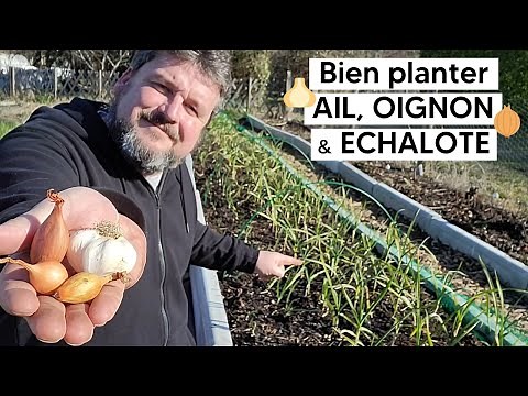 How to properly plant GARLIC, ONION & SHALLOT 🧅🧄 『TUTORIAL』