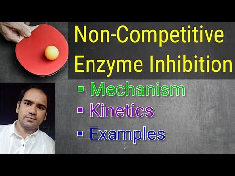 Non-competitive Enzyme Inhibition : Mechanism, Kinetics (Km&Vmax) & Examples.
