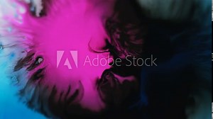 Ink drop. Paint splatter in water. Wet splash. Defocused neon magenta pink blue black color liquid stain spreading wave flow reveal motion abstract art background.