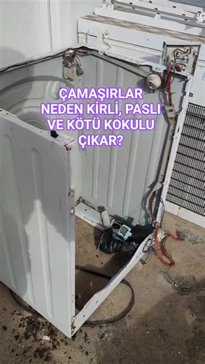 Why Do Washed Clothes Smell Dirty?