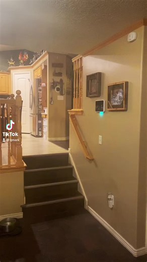 QMark (@qmark)’s videos with original sound - QMark