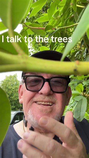 Talking to Trees: A Unique Perspective on Nature