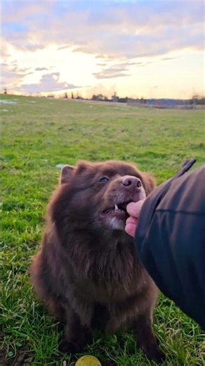 schönen Abend Freunde