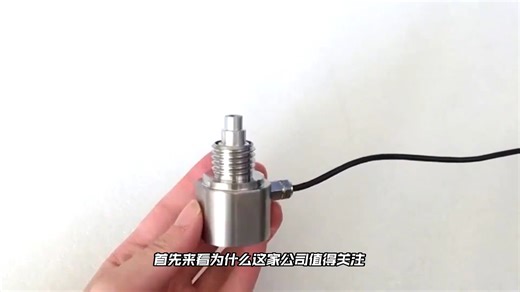 美国Strainsert斯创森特全球高端测力解决方案创领者