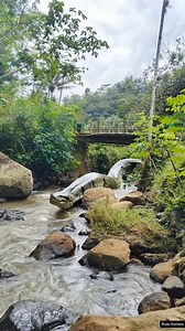 497K views · 4.7K reactions | Ular Anaconda Hijau Raksasa muncul di sungai berbatu  #anaconda #sucuri #gigante #amazon #sungai | Rudy Guntara | Facebook
