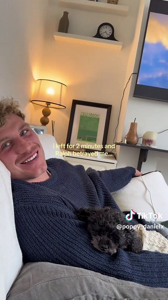 Dog Mom's Dog Betrays Her in 2 Minutes