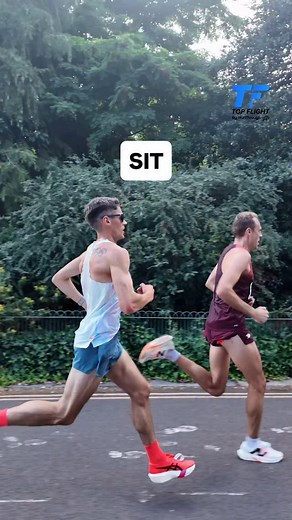 241K views · 2.3K reactions | Animal @philsesemann  | RunThrough | Facebook