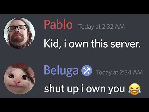 When Beluga Buys Discord...